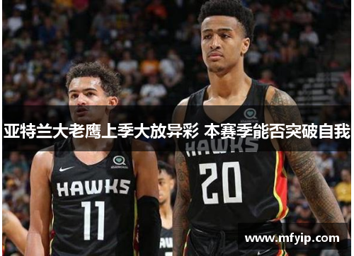 亚特兰大老鹰上季大放异彩 本赛季能否突破自我