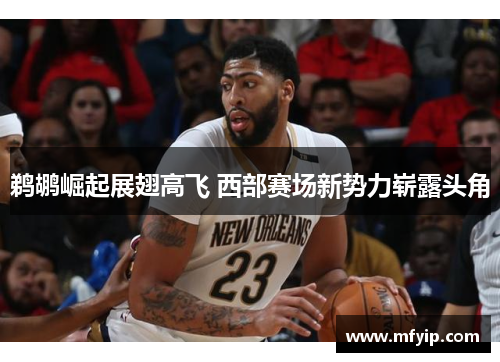 鹈鹕崛起展翅高飞 西部赛场新势力崭露头角